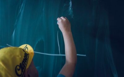 Los psicopedagogos y su papel en la escuela inclusiva